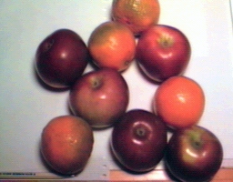 Apples and oranges image2