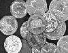 Monochrome coin image